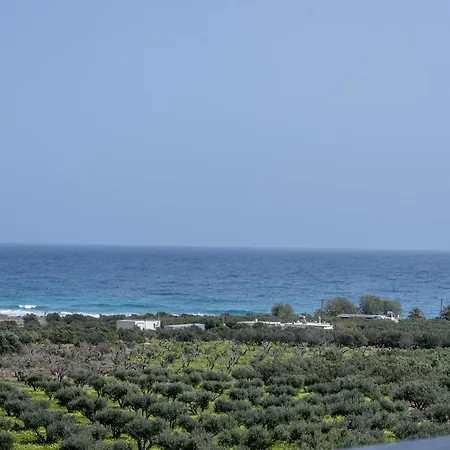 Thea Holiday home *
